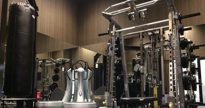 OWL GYM