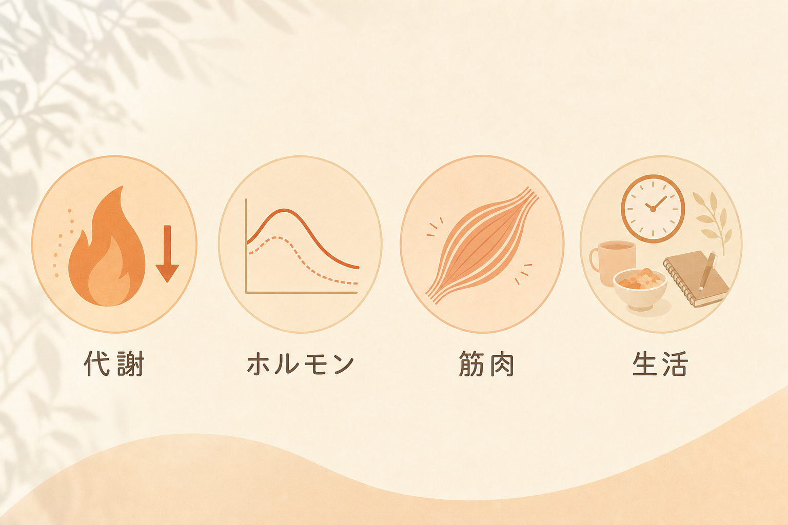 第3章