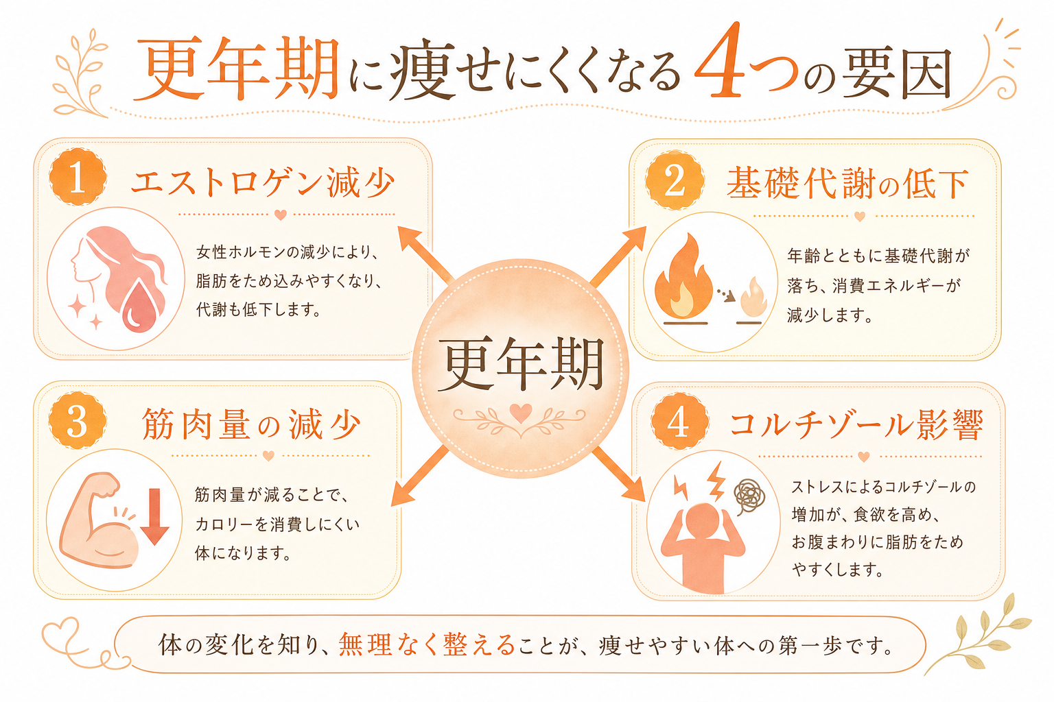 エストロゲン変動と代謝の関係図