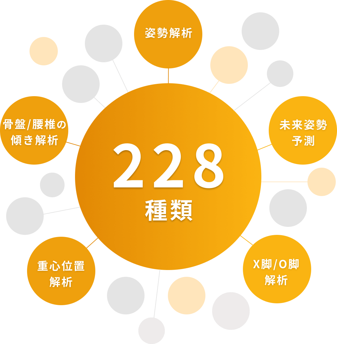 228種類
