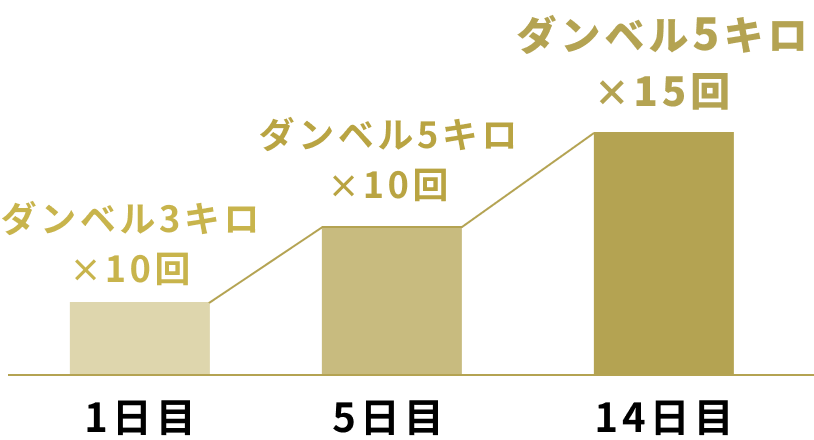 漸進性・過負荷の原則の棒グラフ