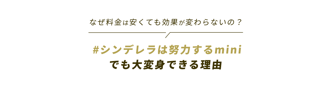 なぜ料金は安くても効果が変わらないの？　#シンデレラは努力するminiでも大変身できる理由