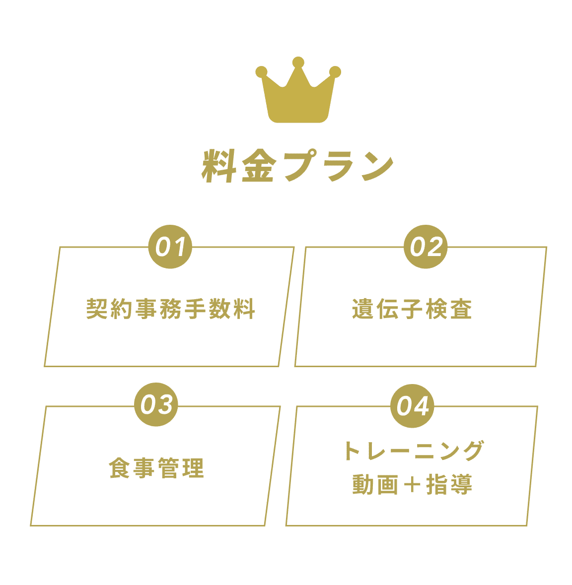 料金プラン