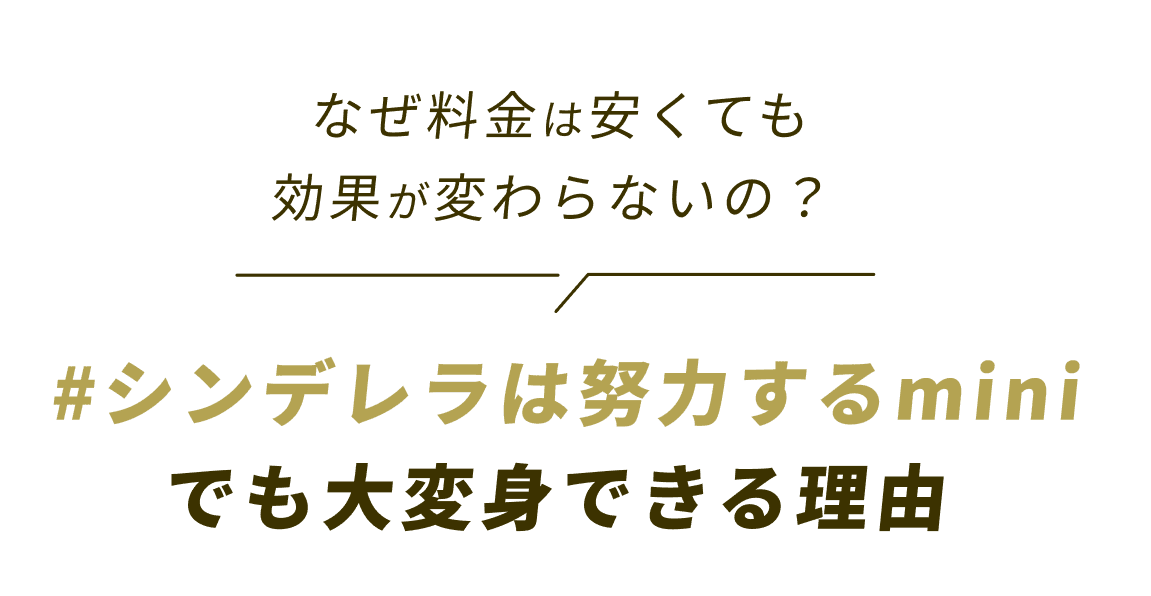 なぜ料金は安くても効果が変わらないの? #シンデレラは努力するminiでも大変身できる理由