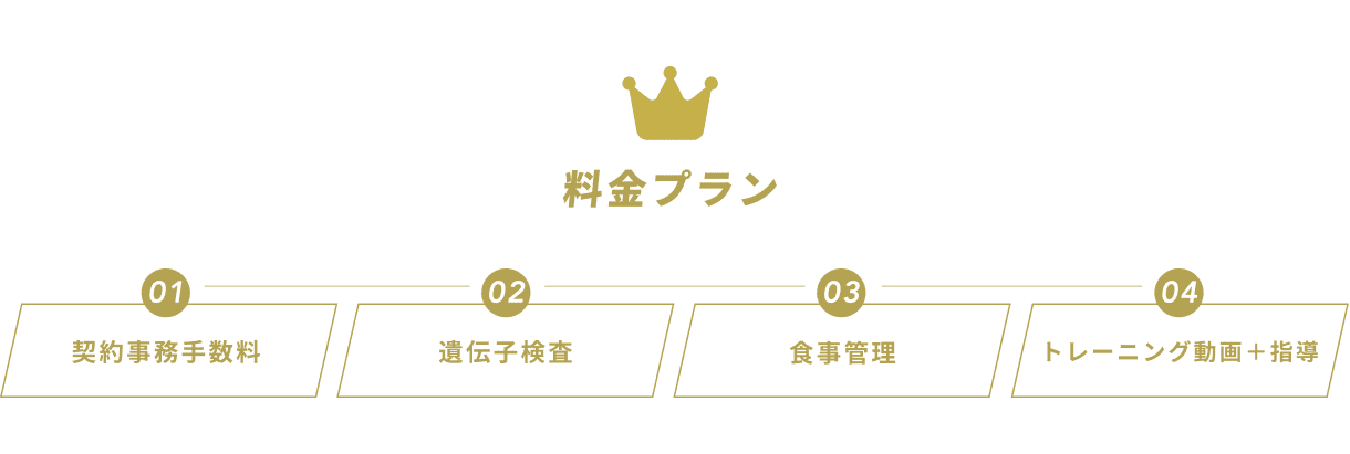 料金プラン